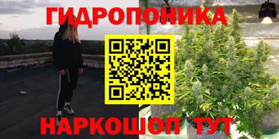 амф Канаш