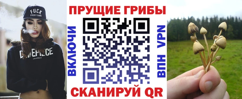 blacksprut сайт  Нижний Новгород  Галлюциногенные грибы прущие грибы 