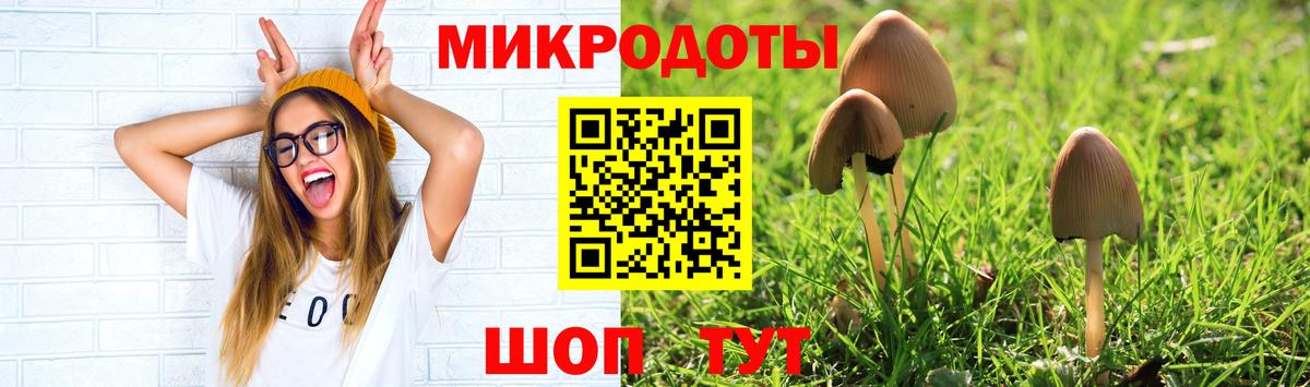 Псилоцибиновые грибы Cubensis  Вход с VPN  где купить наркоту  Нижний Новгород 